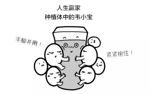 blob.png blob.png